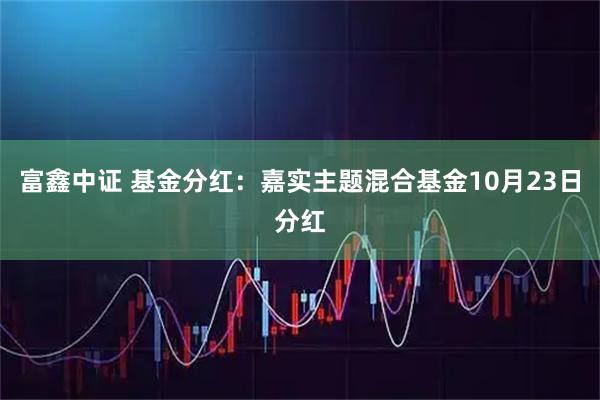 富鑫中证 基金分红：嘉实主题混合基金10月23日分红