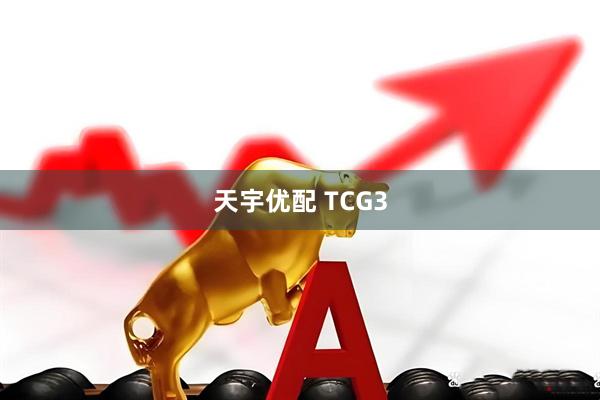 天宇优配 TCG3